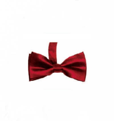 BT016 Order suit bow tie online order formal bow tie manufacturer detail view-31